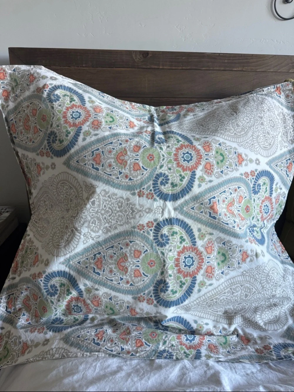 Pottery barn Giselle paisley Medallion 2 euro shams & 1 STD sham Bohemian Cotton